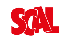 cat_scal_1.png