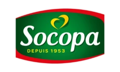 cat_socopa_1.png