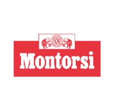 cat_montorsi_1.png