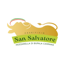 cat_san-salv_1.png