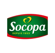 cat_socopa_1.png